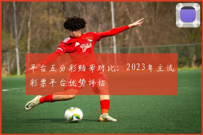 平台五分彩赔率对比:2023年主流彩票平台优势评估